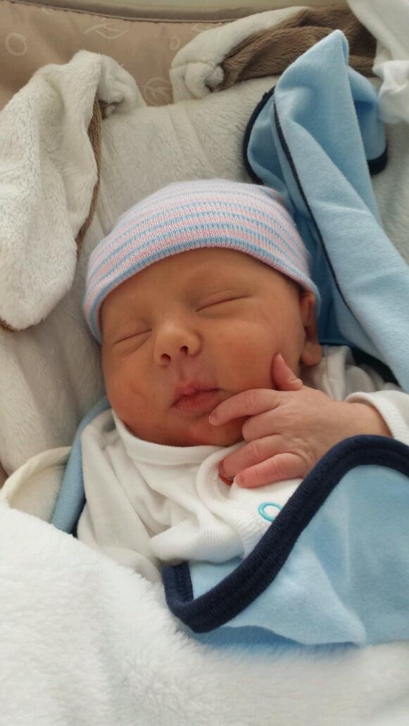 shudocta's tweet photo. @NHLBruins haven't lost since this little guy named Bear was born back on Sunday night. Coincidence?  I think not! http://t.co/3U55DnSLD0