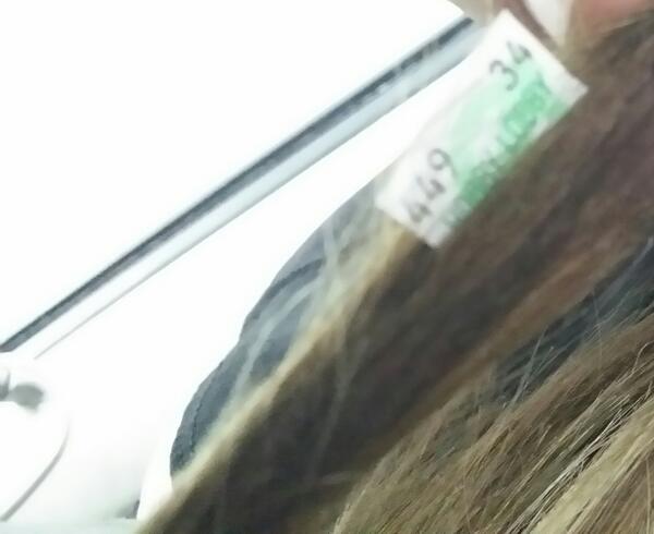 Ber_1994's tweet image. #retailworkerprobs