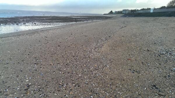 ButterSideUpp's tweet image. Great to see Googlebox back on telly.