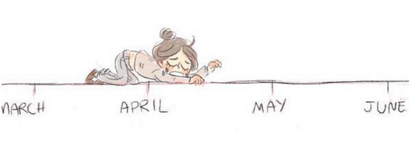 anieek_'s tweet photo. "@sofieroelse: RT @fucktvler: it's that point in the school year http://t.co/O88LaWDiSY"