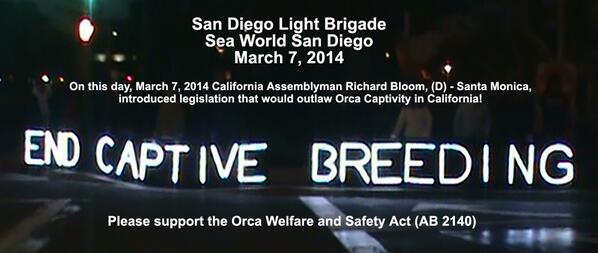 #EndCaptiveBreeding San Diego Light Brigade 10news.com/news/seaworld-… -10news.com/news/californi… @TheOrcaProject #Blackfish