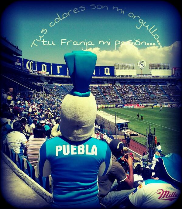 camote_12's tweet photo. IMO --->En tierra de chorizo tiene que mandar el camote!!! http://t.co/cbDrIDY49k