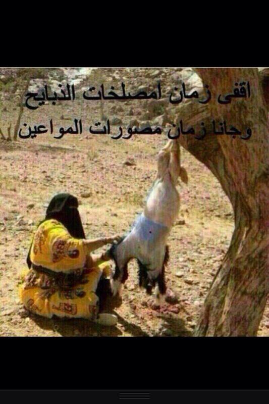 TheebAlshmmri's tweet photo. كماوصلتني http://t.co/wahTlfY2O4