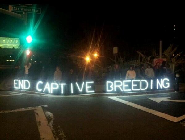 San Diego activists with another message for @SeaWorld #endcaptivebreeding  #captivitykills @jeffrey_ventre