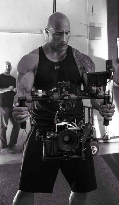 HybridVigorFilm tweet picture