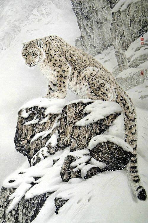 EarthBeauties_'s tweet photo. Snow Leopard, China http://t.co/KCiQUC5S6b