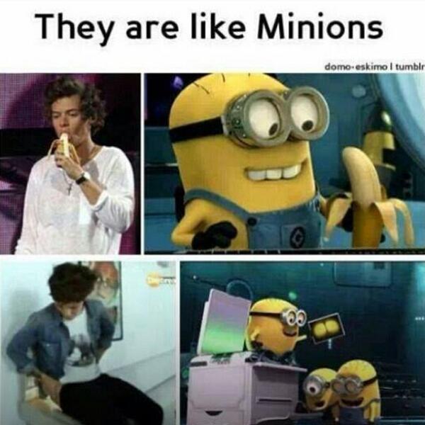 MINlONS's tweet image. ⓒ ☺️✨ #minions #onedirection #onedirectionedit #onedirectionedits #onedirectionfunny #1d #1dedit #1dedits #1dfunn...