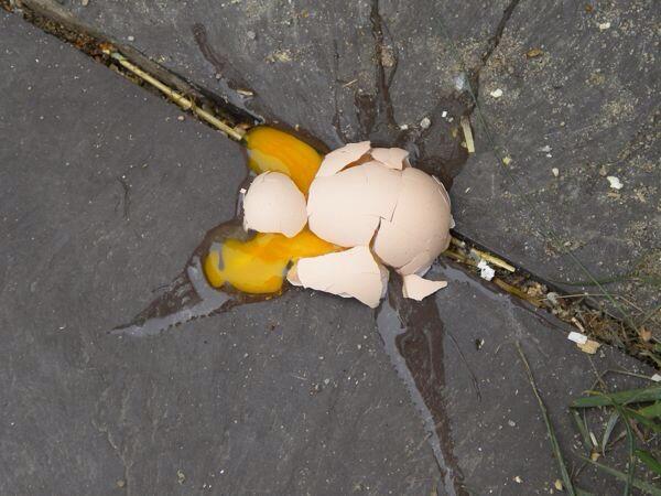 Eggs (@Eggcellents) / Posts / X