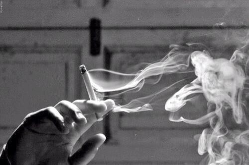 drunkspells's tweet photo. Delicacy. http://t.co/xhxTVCGAYL