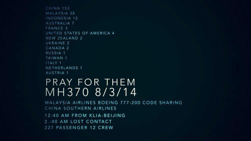  Malaysia Airlines crash 