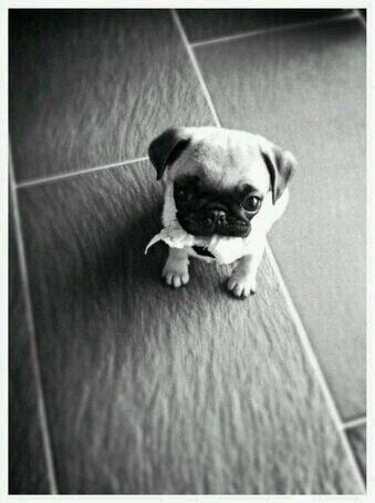 James (@nerdyjames_) on Twitter photo 