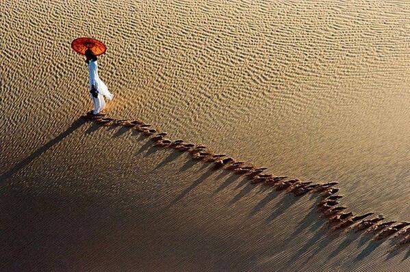 Gabriele_Corno tweet picture