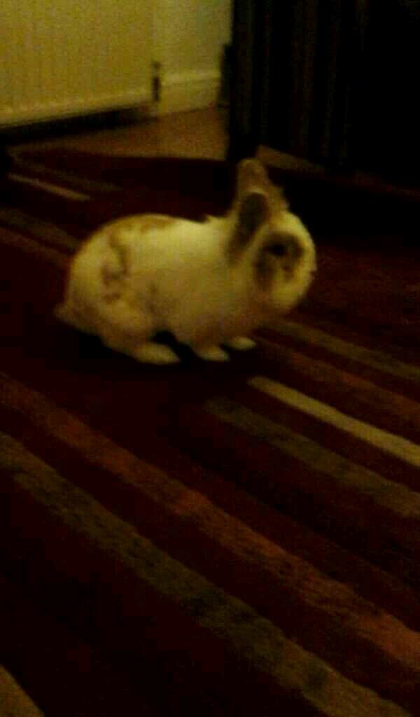 Ebony69145's tweet photo. http://t.co/eH9qCyGU7O