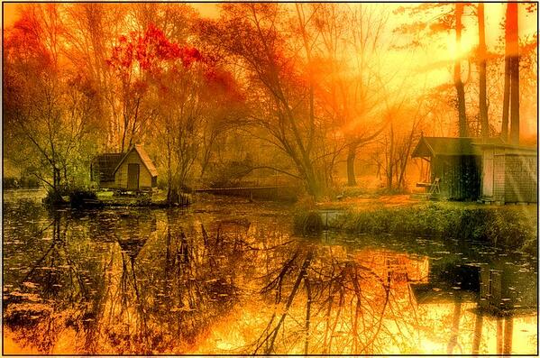 Gabriele_Corno's tweet photo. Rising sun, Hungary by Gabor Dvornik http://t.co/S2CjM2X7yC