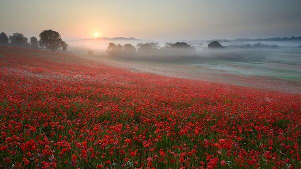 Gabriele_Corno's tweet photo. "Red Dawn", England by Russ Barnes http://t.co/K0MDEIORZj
