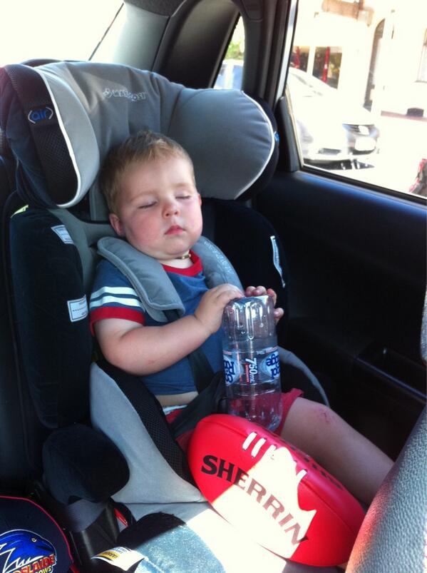jmort77's tweet photo. Thank you @Adelaide_FC @KJ158 for a great members day &amp; the footy. Somebody will be sleeping well tonight #gocrows http://t.co/CyPwqU8pX6