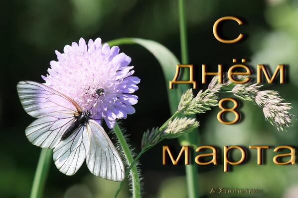 Написать твит...