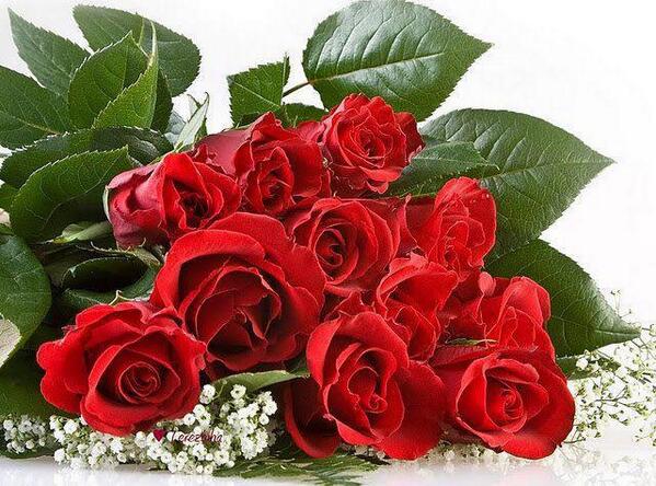 Culture_RF's tweet photo. С 8 марта, дорогие дамы! Творческих побед, высоких свершений и только положительных эмоций! Мы вас любим! http://t.co/BVwv2hm6zA