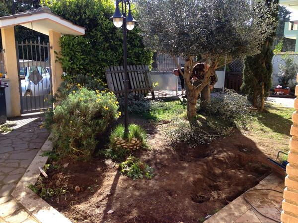 DapiService's tweet photo. Prima fase : il giardiniere #osserva cosa c'è da pulire , potare e sistemare  che impiccia il passaggio. http://t.co/GLzaZPA0v7