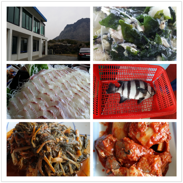 광어 우럭 비켜라^^ 제주 자연산 돌돔(갯돔) 나가신다 쫄깃하고 뒷맛이 달달, 참조기젓 묵은지랑 시래기 고등어조림과 돌돔지리, 껍데기, 간, 뽈살 등등 다 맛나요 @수준있는 횟집 제주 남경미락