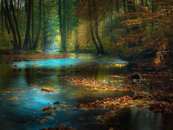 Gabriele_Corno tweet picture