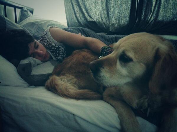 TheVampsBrad's tweet photo. I've missed you jesse http://t.co/2XVCxjMUBI