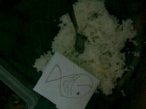 KendallJenn_GF's tweet photo. makan malem dulu http://t.co/XVgGziEvOs