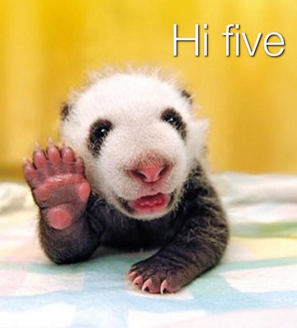 PetLifeMagazine's tweet image. 