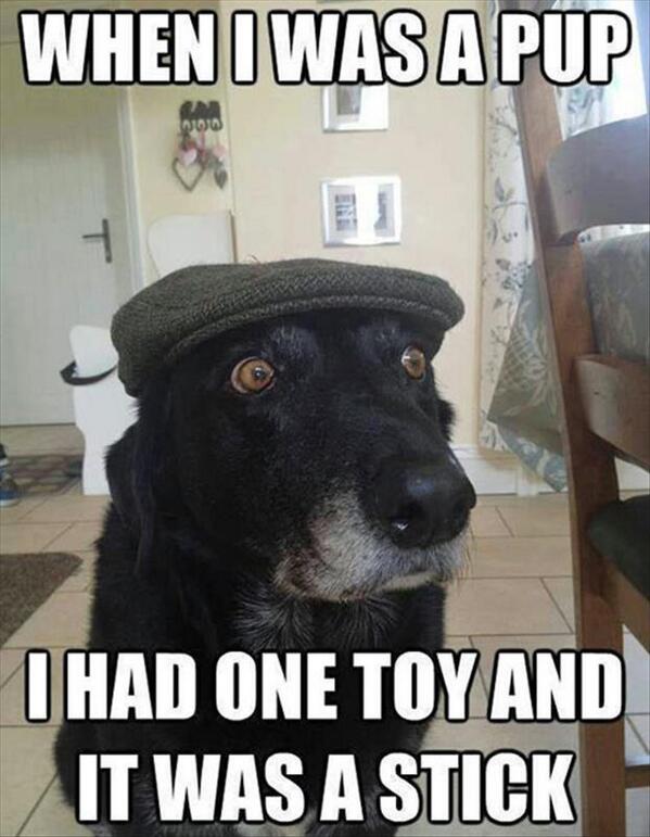 MensHumor's tweet photo. When I was a pup... http://t.co/oWDYiJ81sj