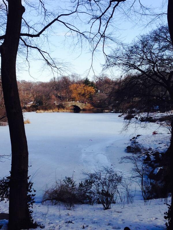 martinhsorch's tweet photo. Central Park #springtrip2014 #determination http://t.co/IH79QzrNx1