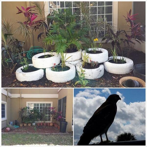 EFSCEC's tweet image. Tire garden installation went fantastic at the Southland suites retirement home!