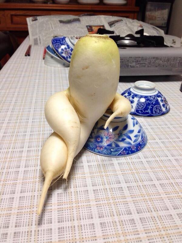 AlfieDeyes's tweet photo. retweet if this radish is sexier than you http://t.co/MLyAXUAIZS