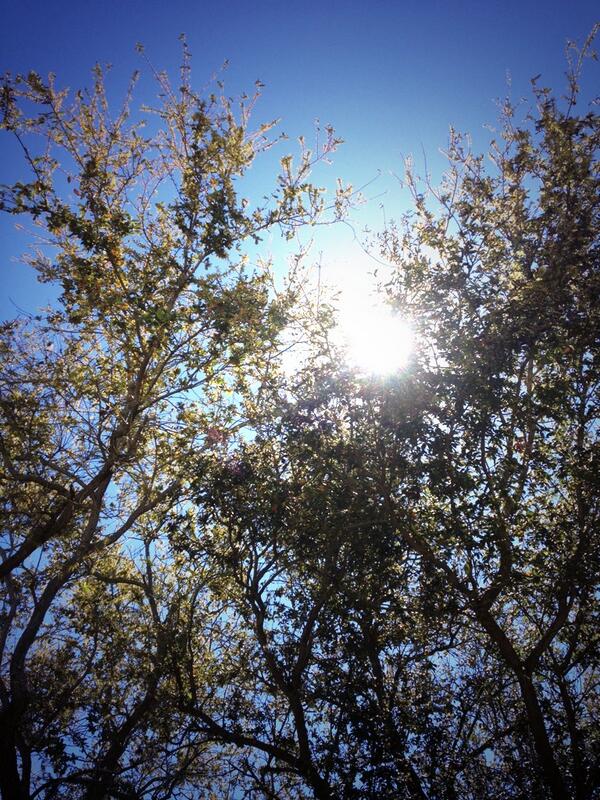 Maggie_UT's tweet photo. Enjoying the weekend weather :) http://t.co/iQCX66S3JG