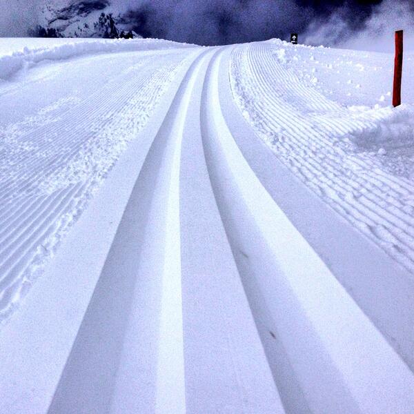 PaolaGoppion's tweet photo. Alpe di Siusi http://t.co/WlsgZB8nW9