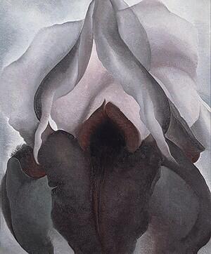 Noemi_Klein's tweet photo. Happy International women's evening! #georgiaokeeffe#Internationaldayforwomen #internationalwomensday http://t.co/A4Na08kylM