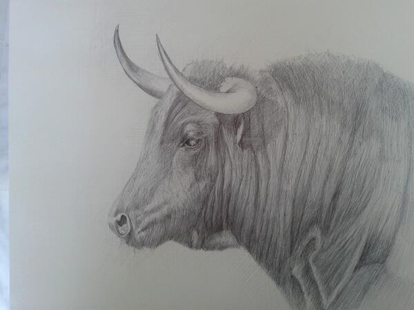 DibujosAlfonsoG's tweet photo. toro, a boli bic http://t.co/v2fJ8N5hLq