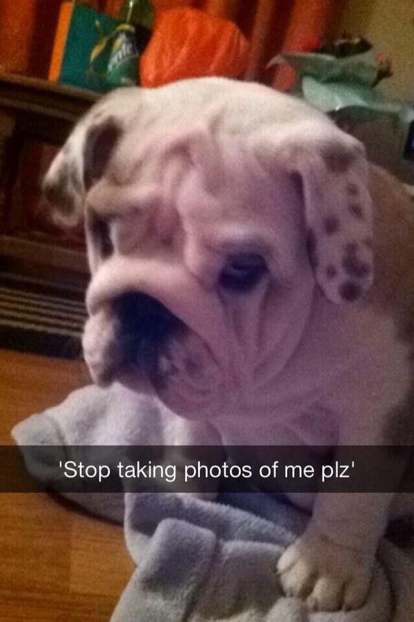 BrianMeeme's tweet photo. Deja de tomarme fotos, por favor. http://t.co/dtKoHes0Vh