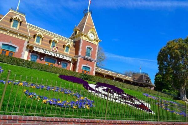 Disney's tweet photo. You’ve just walked through the gate at @Disneyland. What do you do first? http://t.co/hxjSqfDYco