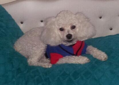 Bruno_Buddy's tweet photo. Life is good!! http://t.co/QSEfqjppYA