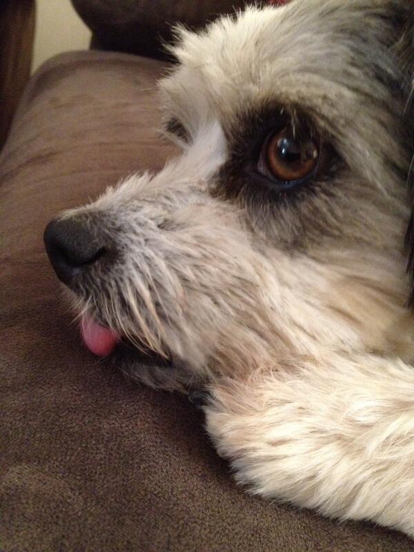 Gidget09's tweet photo. http://t.co/2xAmrbSx51