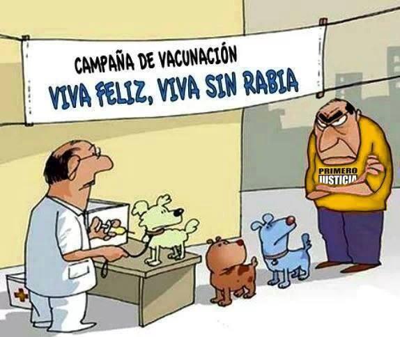 vicmersuarez's tweet photo. @rhm1947 SI TIENES ESCUALIDOS RABIOSOS,EN TUS CERCANIAS LLEVALO A VACUNAR,TE SALVARAS D LAS ASFIXIANTES GUARIMBAS http://t.co/dWvrgToC8m