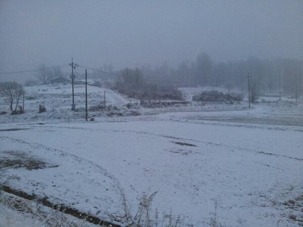 Mar . 9 . 2014
morning of korea