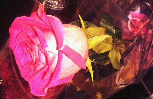 Evergia's tweet photo. En el día de la Mujer @VipLaserClinic siempre haciendonos sentir especiales! http://t.co/sIxtWjV1tl