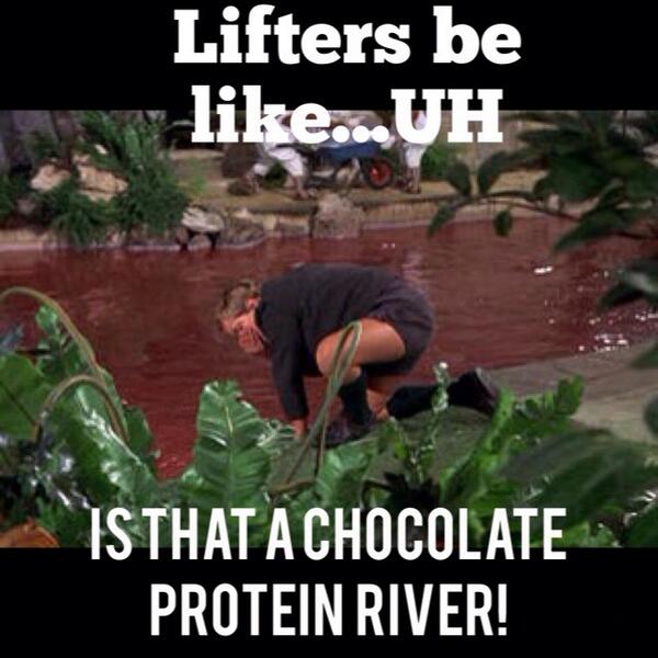Gain_Sports's tweet photo. Protein Fiend! #GainSports #Gains #Lift #gym #gymflow #beastmode #getbig #fitfam http://t.co/3eAfPQB0gM