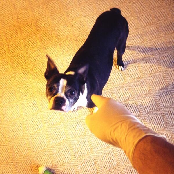 aj68s's tweet image. It's #analgland time!