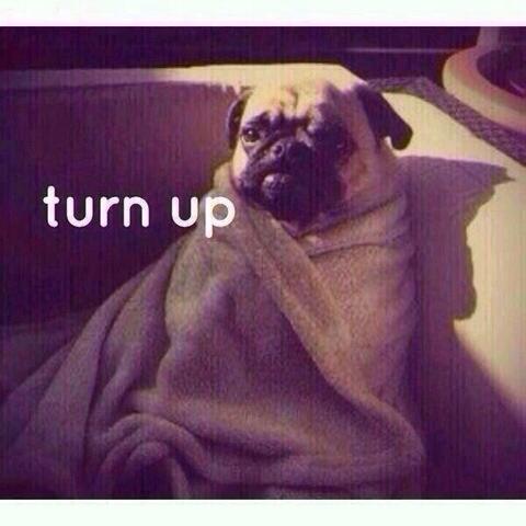 ItsGirllCode's tweet photo. every Saturday night http://t.co/2Shu14pEi6