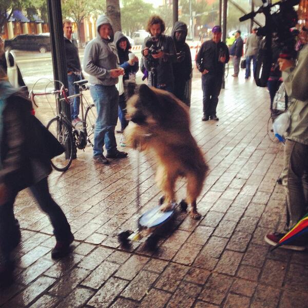 shoptoday's tweet photo. Picture me rollin' #SXSWbyDC #SXSW14 http://t.co/8klLDDYqid
