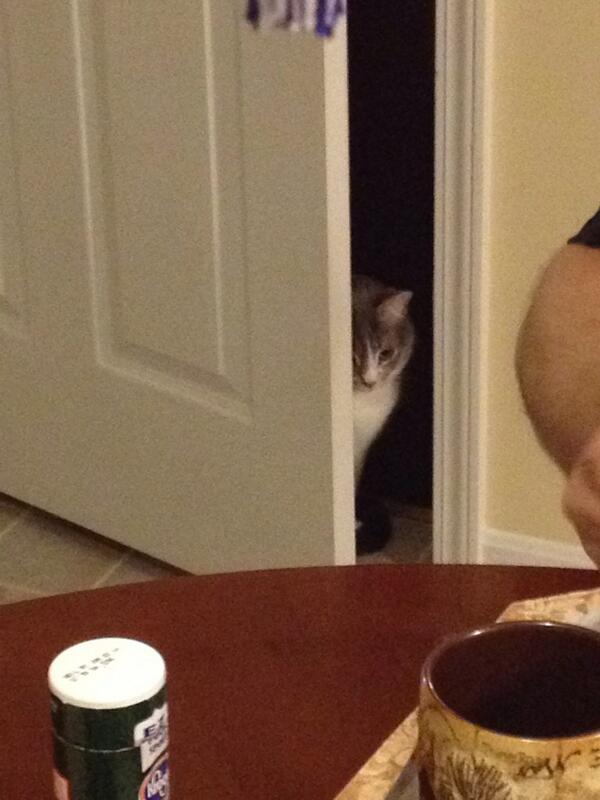 Elphabutt's tweet photo. *Lurks in the shadows* http://t.co/3orfwT2fRs