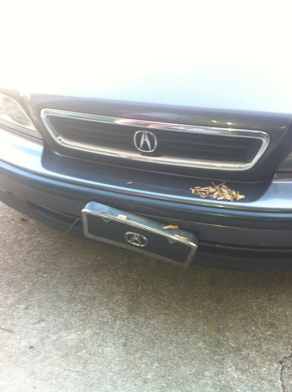 dougwmize's tweet image. No prob Rach at least I got the WoodChips//“@rachelmz311: whatever the tree had it comin #firsttimedriving #sorrydad http://t.co/2J2yKSCW0g”