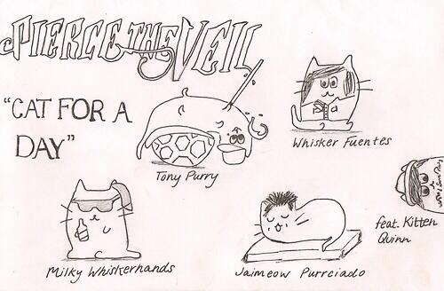 BelieveInBands's tweet image. Cat For a Day